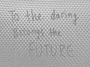 To the daring belongs the future on a bathroom stall