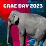 GRAE Day 2023 playlist cover